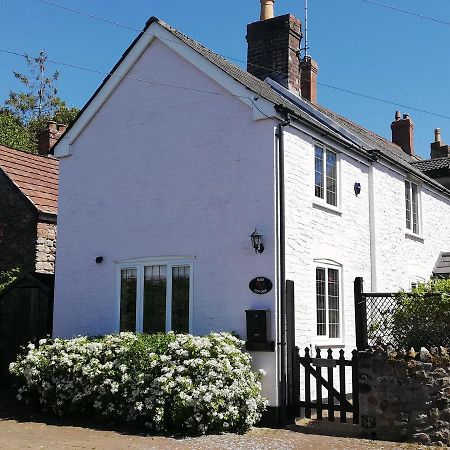 Rose Cottage, Chard Exteriör bild