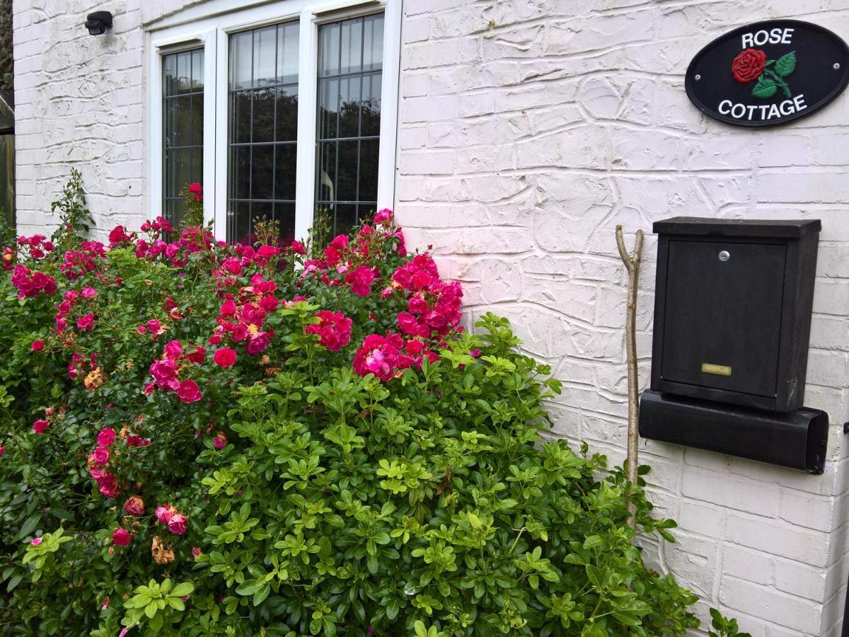 Rose Cottage, Chard Exteriör bild